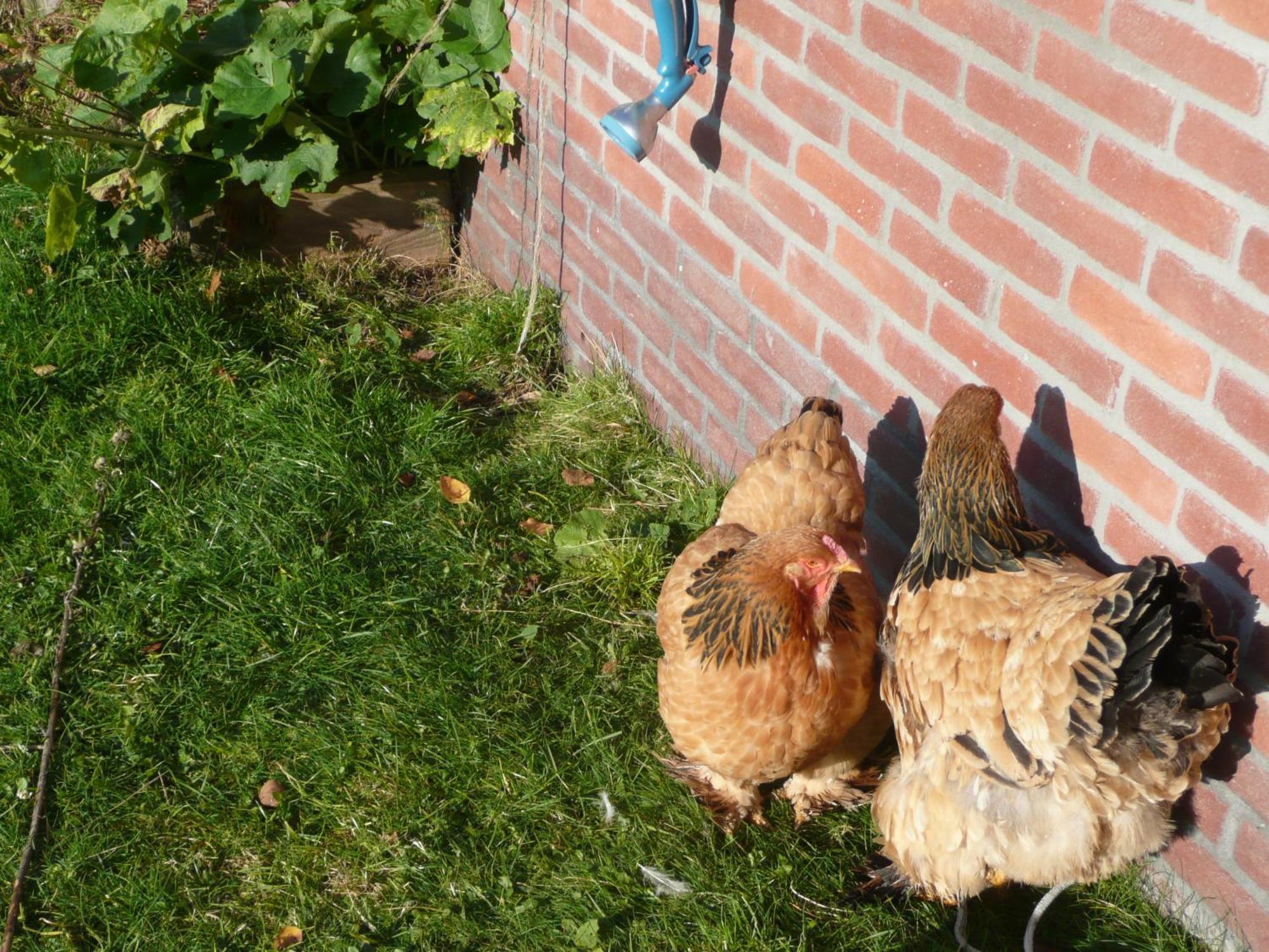 Slaopen En Stoet Bed and Breakfast Anderen Eksteriør billede