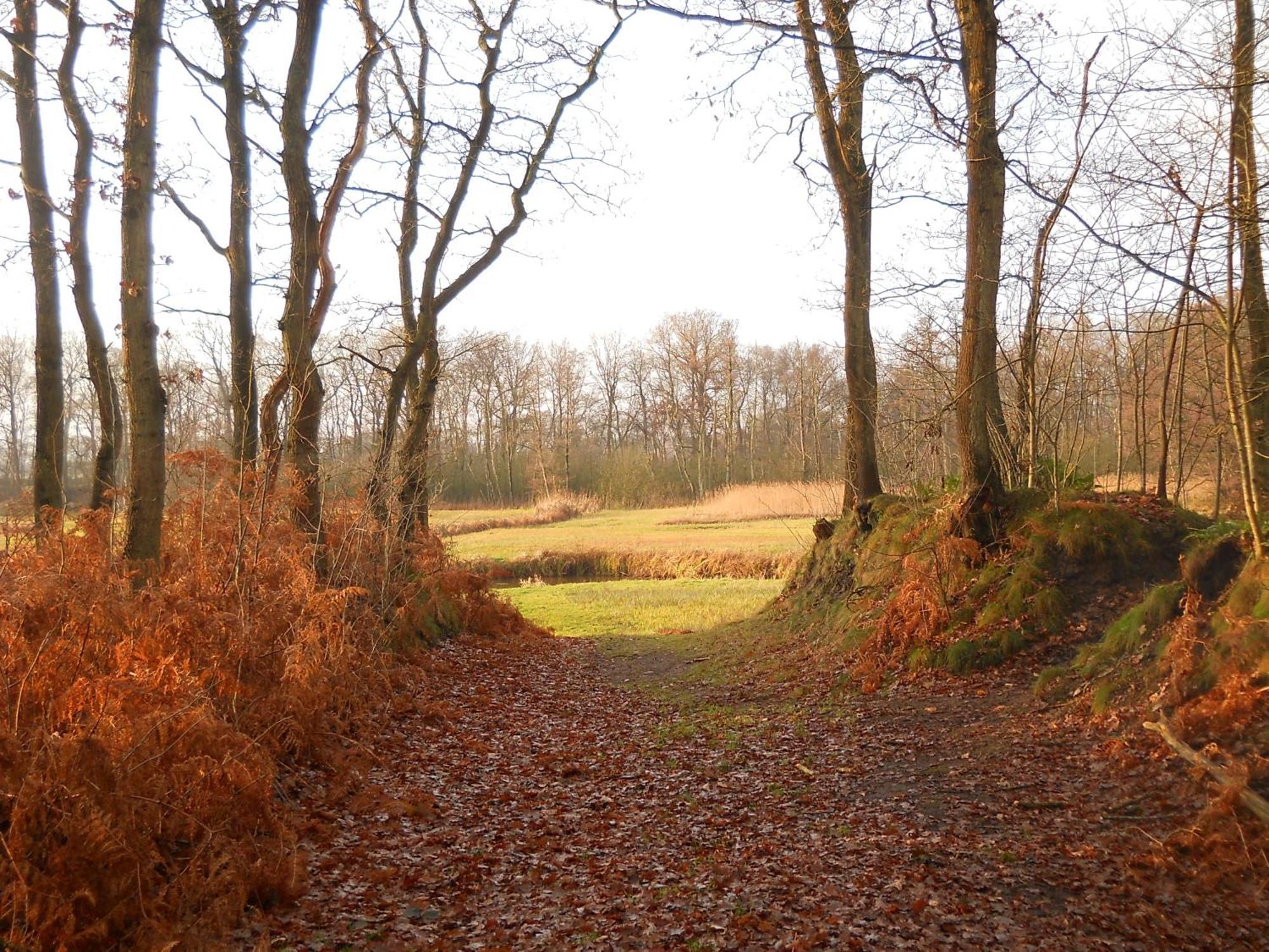 Slaopen En Stoet Bed and Breakfast Anderen Eksteriør billede